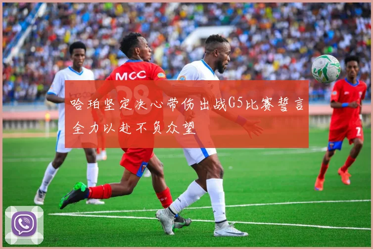 哈珀坚定决心带伤出战G5比赛誓言全力以赴不负众望